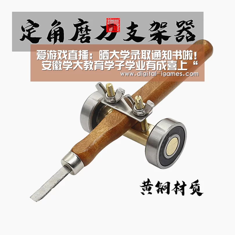 爱游戏直播:晒大学录取通知书啦! 安徽学大教育学子学业有成喜上“琅琊榜”(图3) 爱游戏官方