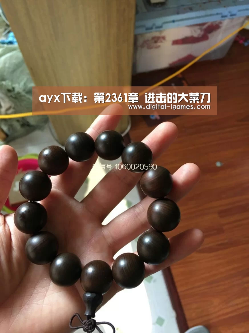 ayx下载