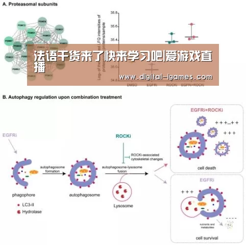 ayx下载